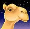 Символ игрового автомата Marco Polo Верблюд 1